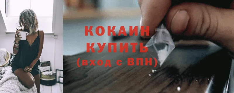 закладка  Киреевск  COCAIN Fish Scale 