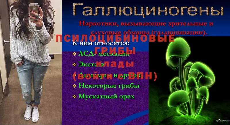 Псилоцибиновые грибы мицелий  Киреевск 